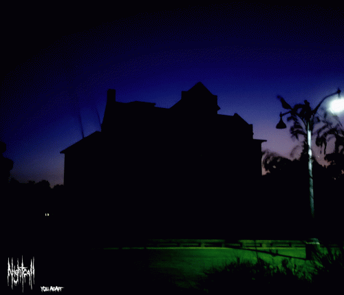 Nightcall : You Adapt